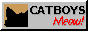 Catboys <3